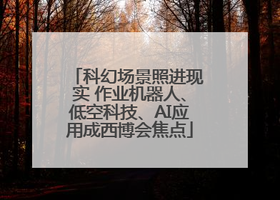 科幻场景照进现实 作业机器人、低空科技、AI应用成西博会焦点