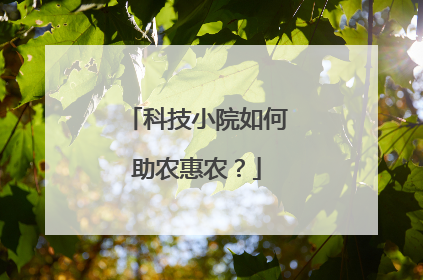 科技小院如何助农惠农？