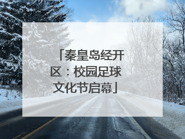 秦皇岛经开区：校园足球文化节启幕