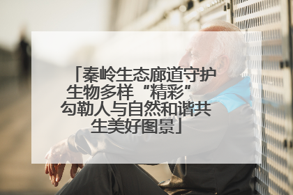 秦岭生态廊道守护生物多样“精彩” 勾勒人与自然和谐共生美好图景
