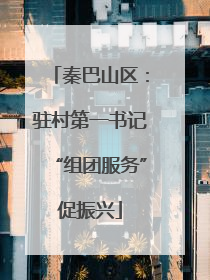 秦巴山区：驻村第一书记“组团服务”促振兴