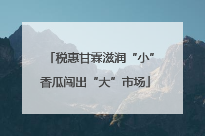 税惠甘霖滋润“小”香瓜闯出“大”市场
