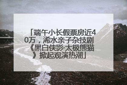 端午小长假票房近40万，浠水亲子杂技剧《黑白侠影·太极熊猫》掀起观演热潮