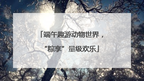 端午趣游动物世界，“粽享”量级欢乐
