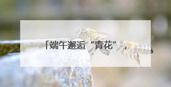 端午邂逅“青花”，“移动博物馆”点亮郑州城市文化空间