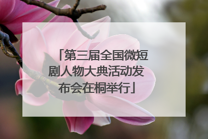 第三届全国微短剧人物大典活动发布会在桐举行