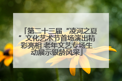 第二十三届“凌河之夏”文化艺术节首场演出精彩亮相 老年文艺专场生动展示银龄风采