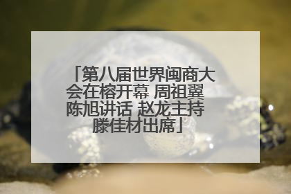 第八届世界闽商大会在榕开幕 周祖翼陈旭讲话 赵龙主持 滕佳材出席