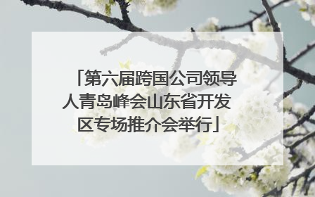 第六届跨国公司领导人青岛峰会山东省开发区专场推介会举行