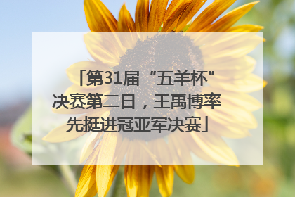 第31届“五羊杯”决赛第二日，王禹博率先挺进冠亚军决赛