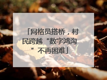 网格员搭桥，村民跨越“数字鸿沟”不再困难