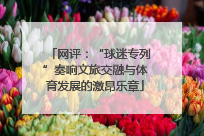 网评：“球迷专列”奏响文旅交融与体育发展的激昂乐章