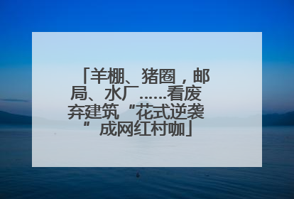 羊棚、猪圈，邮局、水厂……看废弃建筑“花式逆袭”成网红村咖
