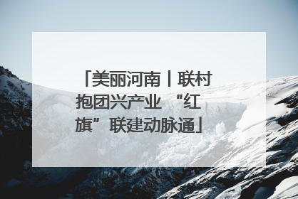 美丽河南丨联村抱团兴产业 “红旗”联建动脉通