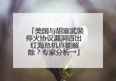 美国与胡塞武装停火协议漏洞百出 红海危机真能解除？专家分析→
