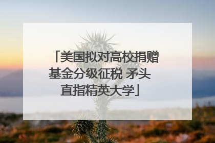 美国拟对高校捐赠基金分级征税 矛头直指精英大学