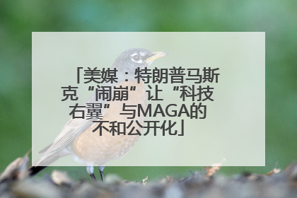 美媒：特朗普马斯克“闹崩”让“科技右翼”与MAGA的不和公开化