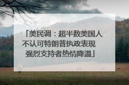 美民调：超半数美国人不认可特朗普执政表现 强烈支持者热情降温