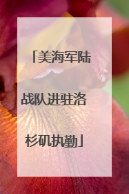 美海军陆战队进驻洛杉矶执勤