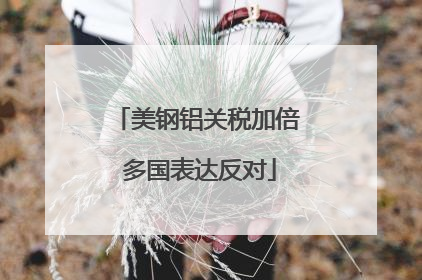 美钢铝关税加倍 多国表达反对