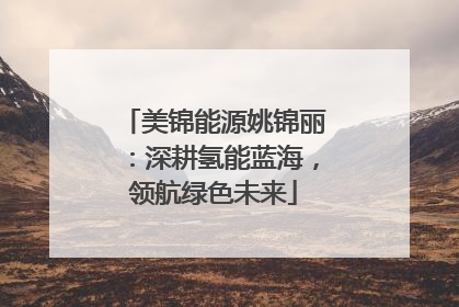 美锦能源姚锦丽：深耕氢能蓝海，领航绿色未来
