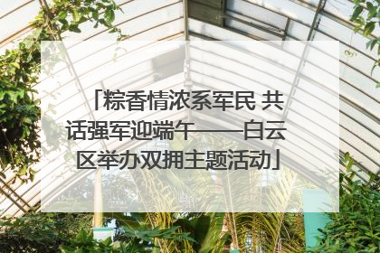 粽香情浓系军民 共话强军迎端午——白云区举办双拥主题活动