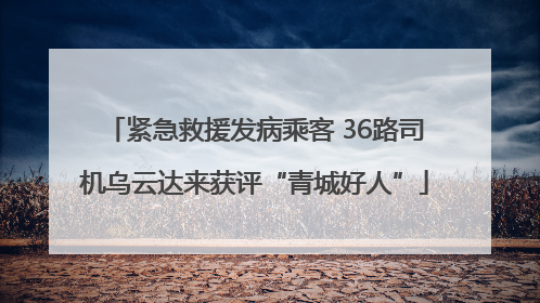 紧急救援发病乘客 36路司机乌云达来获评“青城好人”