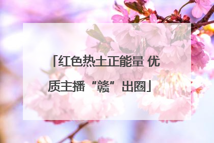 红色热土正能量 优质主播“赣”出圈