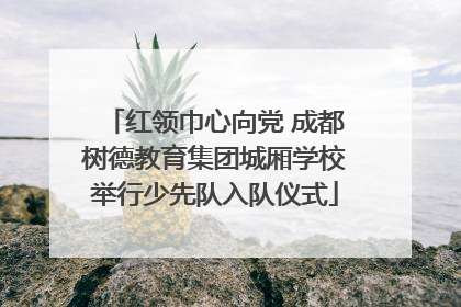 红领巾心向党 成都树德教育集团城厢学校举行少先队入队仪式