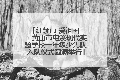红领巾 爱祖国——黄山市屯溪现代实验学校一年级少先队入队仪式圆满举行