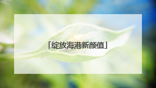 绽放海港新颜值