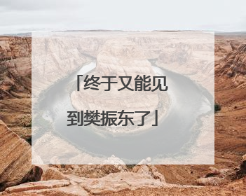 终于又能见到樊振东了