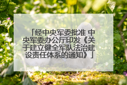 经中央军委批准 中央军委办公厅印发《关于建立健全军队法治建设责任体系的通知》