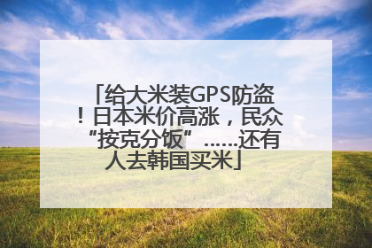 给大米装GPS防盗！日本米价高涨，民众“按克分饭”……还有人去韩国买米