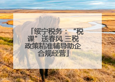 绥宁税务：“税课”送春风 三税政策精准辅导助企合规经营
