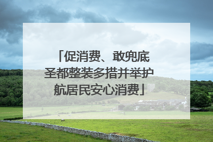 促消费、敢兜底 圣都整装多措并举护航居民安心消费