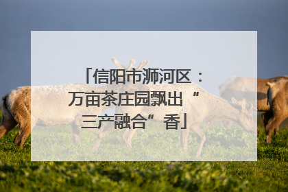信阳市浉河区：万亩茶庄园飘出“三产融合”香