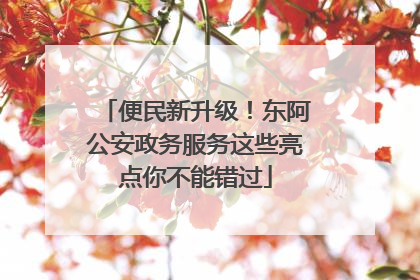 便民新升级！东阿公安政务服务这些亮点你不能错过