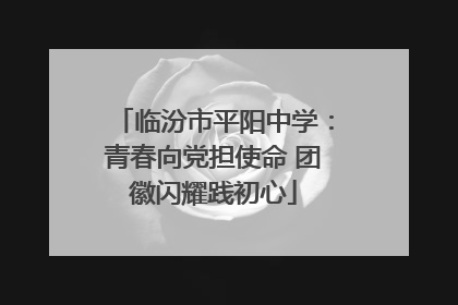 临汾市平阳中学：青春向党担使命 团徽闪耀践初心