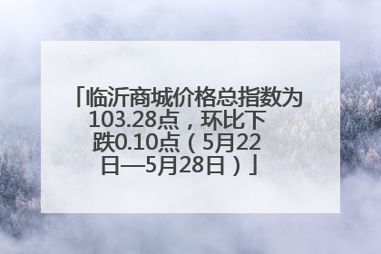 临沂商城价格总指数为103.28点，环比下跌0.10点（5月22日—5月28日）
