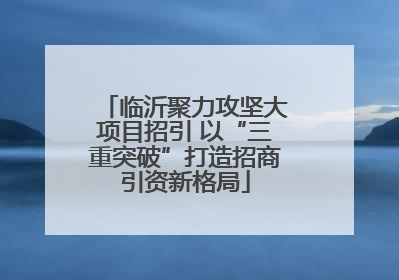 临沂聚力攻坚大项目招引 以“三重突破”打造招商引资新格局