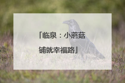 临泉：小蘑菇铺就幸福路