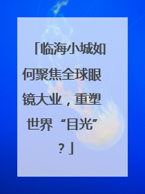 临海小城如何聚焦全球眼镜大业，重塑世界“目光”？