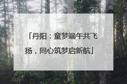 丹阳：童梦端午共飞扬，同心筑梦启新航
