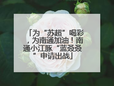 为“苏超”喝彩，为南通加油！南通小江豚“蓝叒叒”申请出战