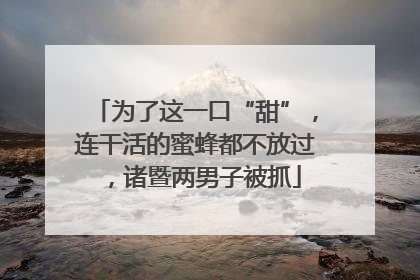 为了这一口“甜”，连干活的蜜蜂都不放过，诸暨两男子被抓