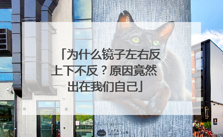 为什么镜子左右反上下不反？原因竟然出在我们自己