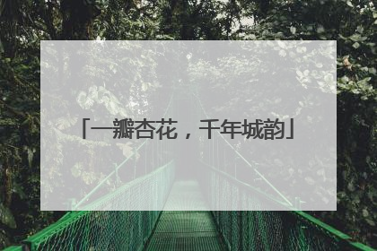 一瓣杏花，千年城韵