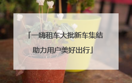 一嗨租车大批新车集结 助力用户美好出行