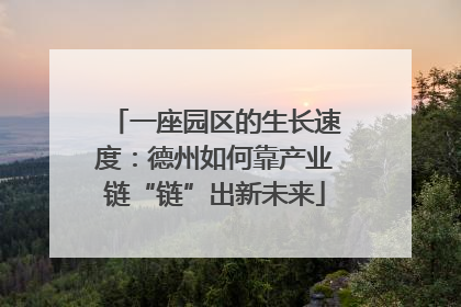 一座园区的生长速度：德州如何靠产业链“链”出新未来